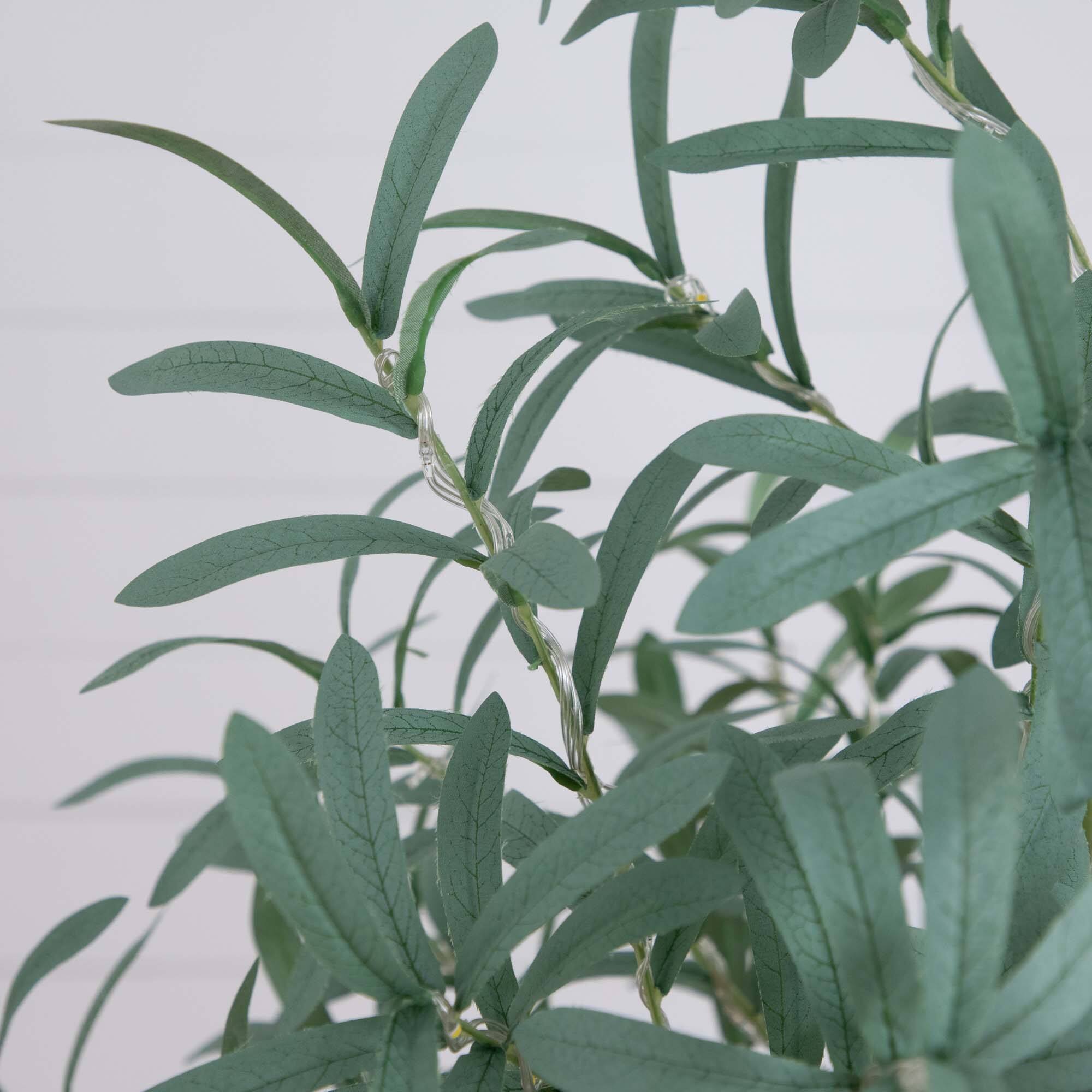 5ft. Pre-Lit Artificial Olive Tree with Warm White LED Lights